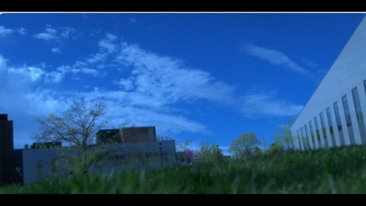 Ikigai Movie Screenshot 2
