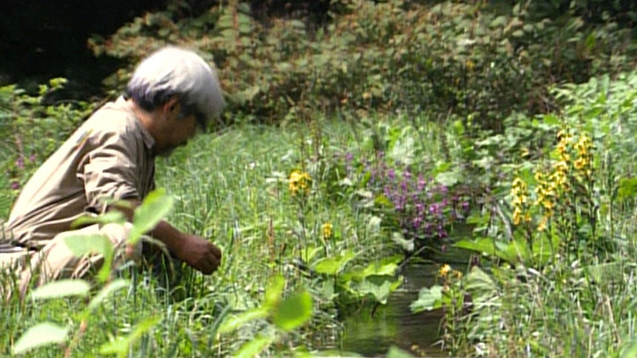 Miyazaki, Spirit of Nature Movie Screenshot 4