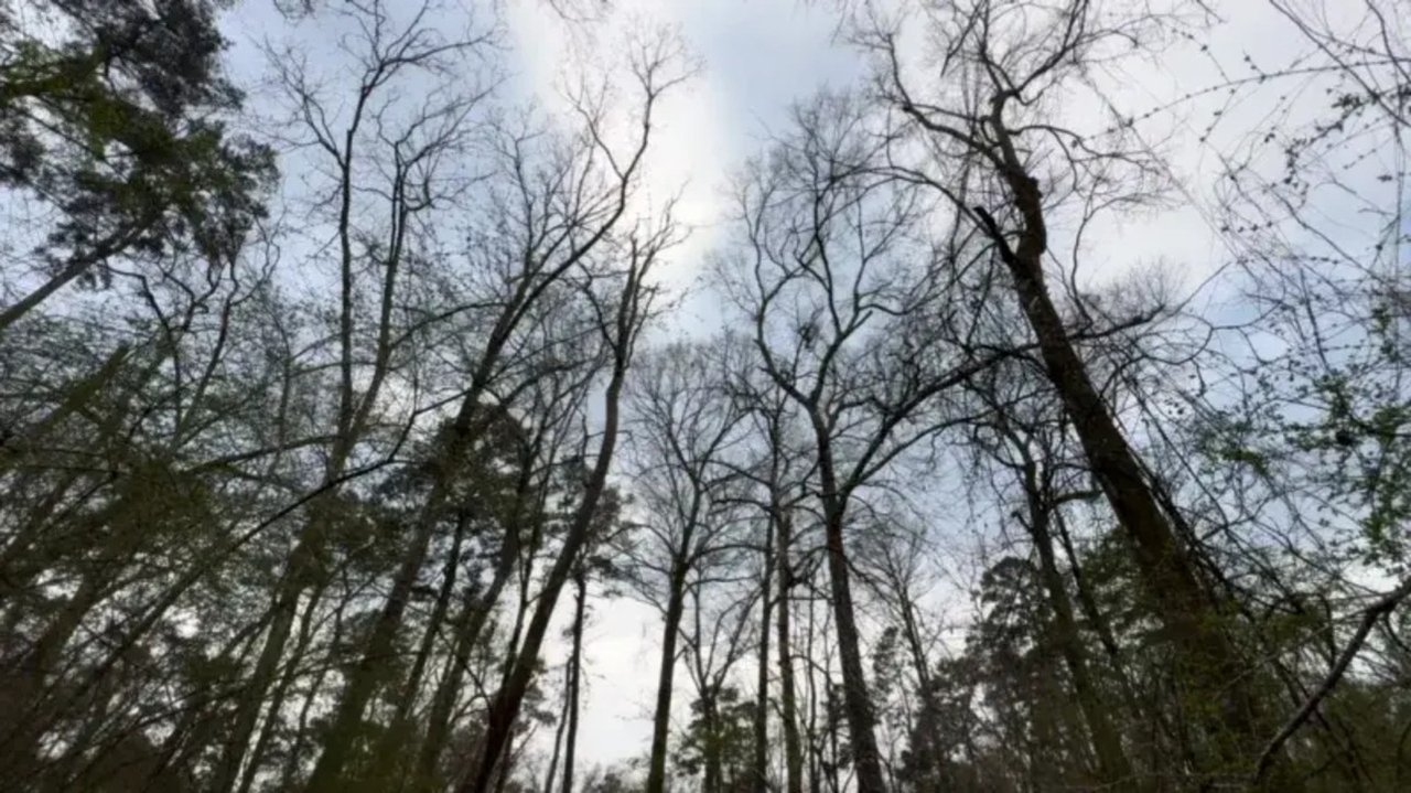 Nathan And His Dad Go Hiking Movie Screenshot 2