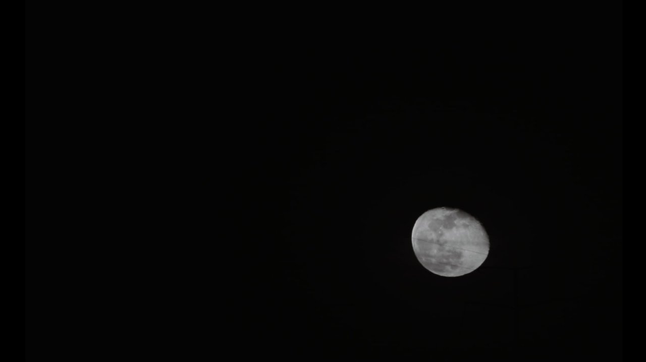 Thank you for Everything Movie Screenshot 1