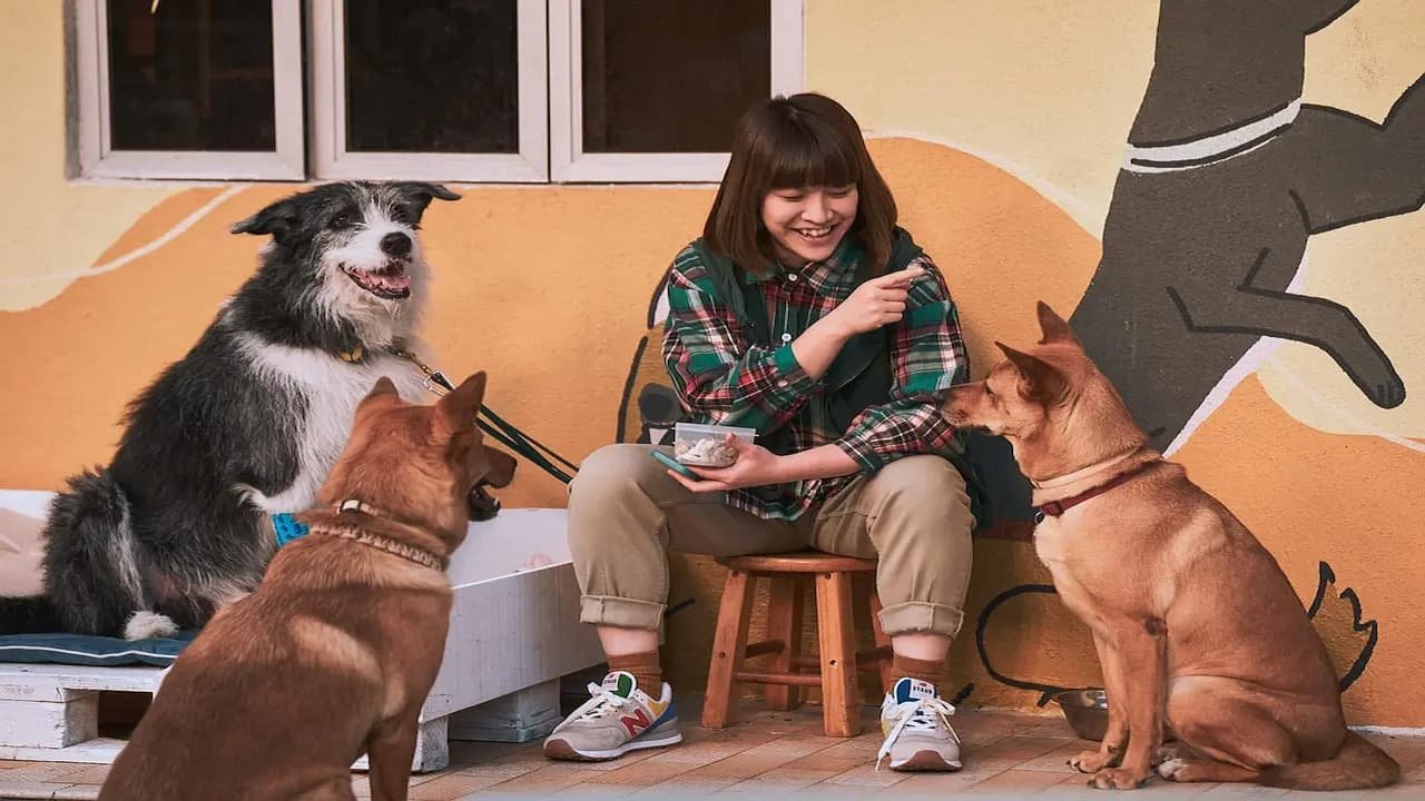 An Abandoned Team Movie Screenshot 2