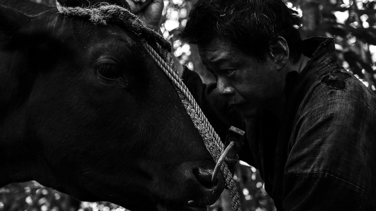 Black Ox Movie Screenshot 3