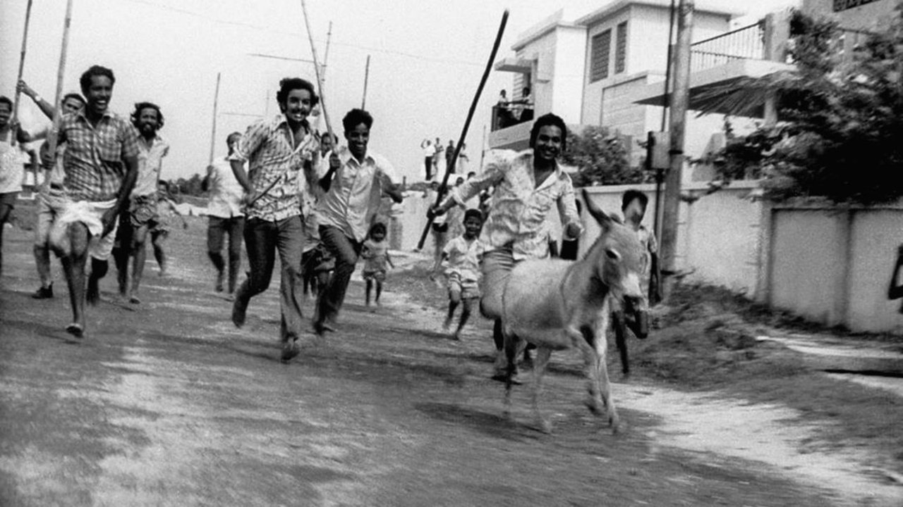 Donkey in a Brahmin Village Movie Screenshot 1