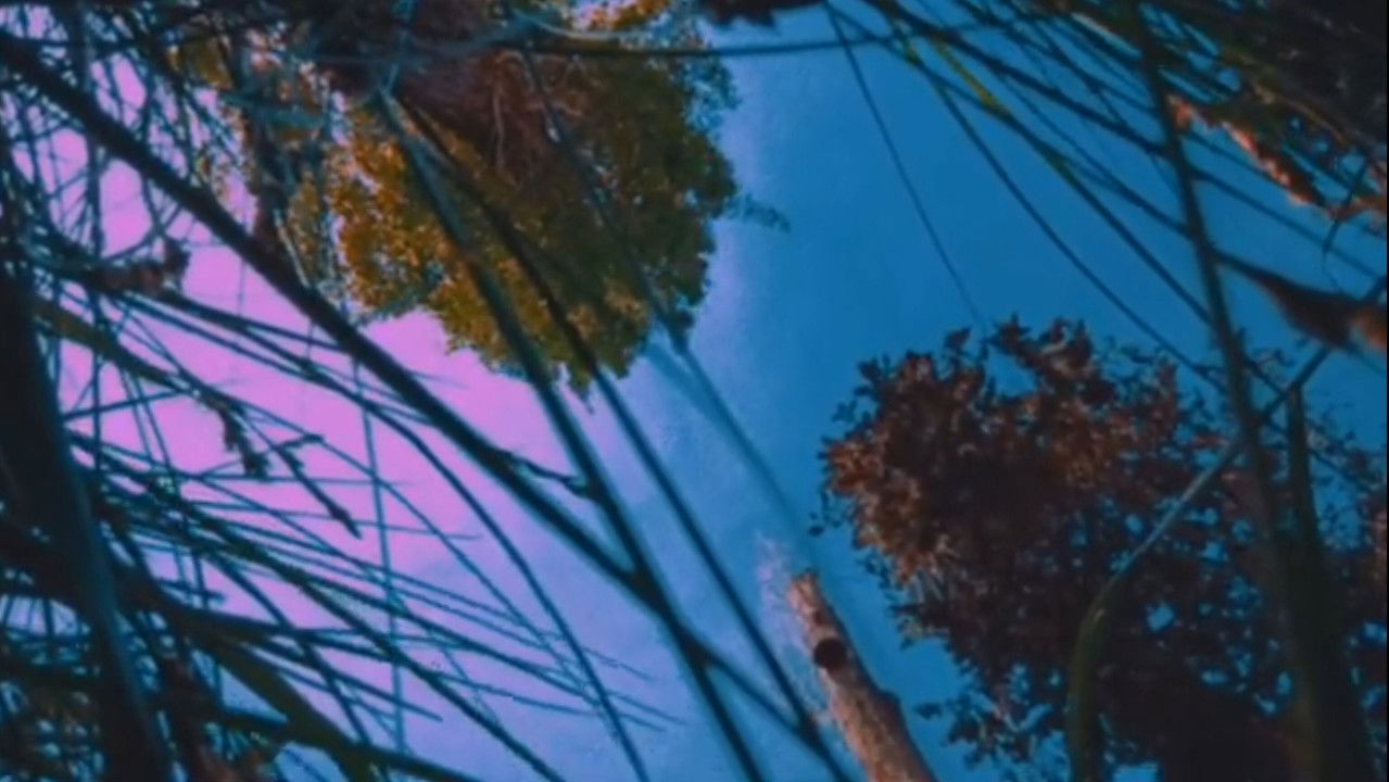 Nostalgia of Everything Movie Screenshot 1