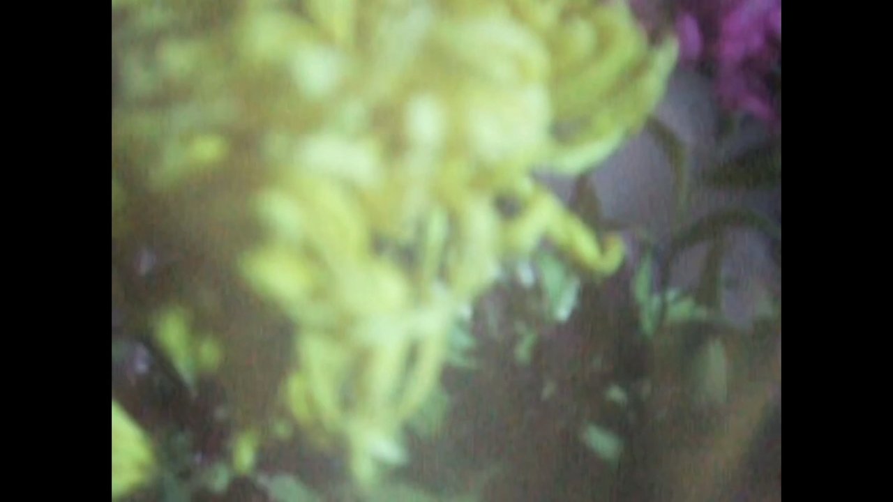 Bouquet Movie Screenshot 1