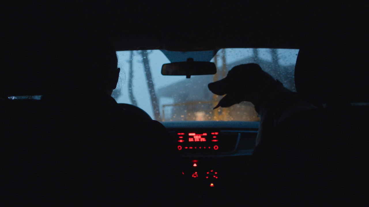 Dead Dog Movie Screenshot 3