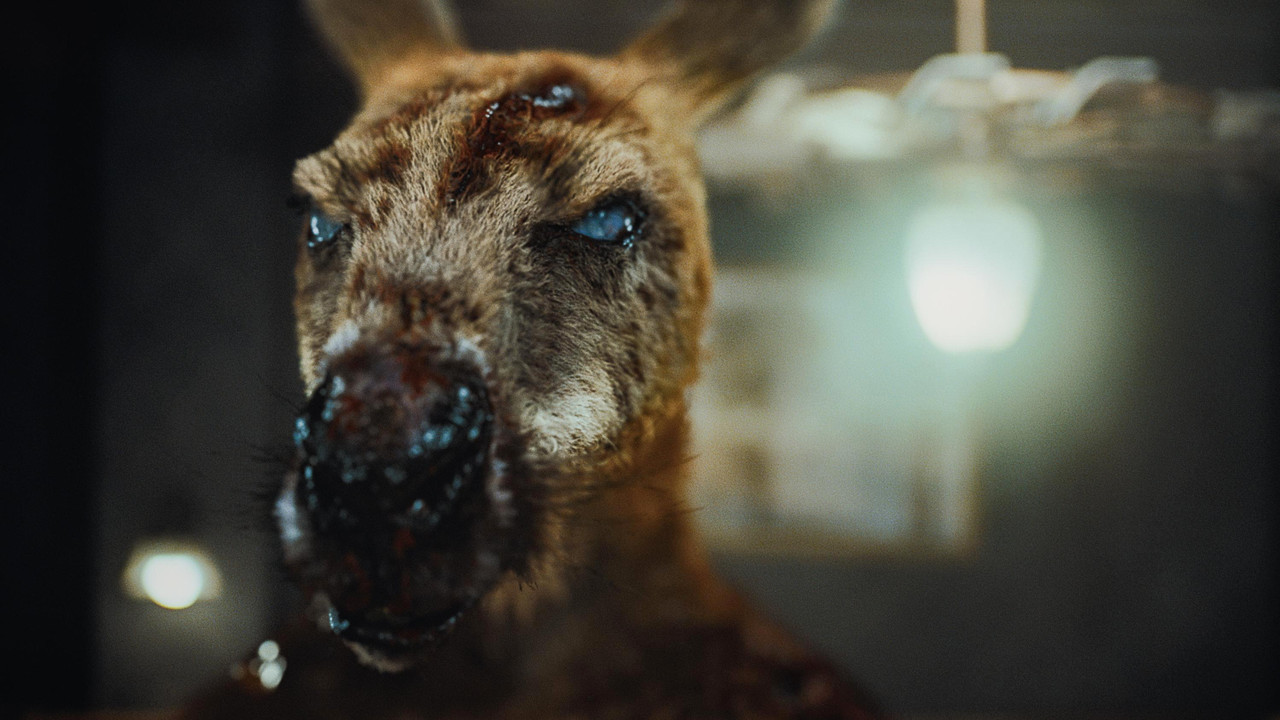 Rippy Movie Screenshot 2