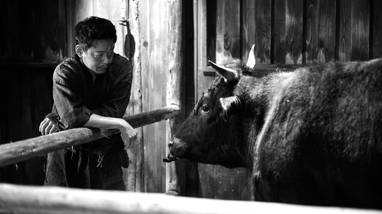 Black Ox Movie Screenshot 5