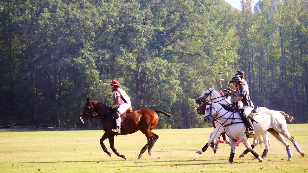From Rodeo to Polo: The 1st HBCU Polo Team Movie Screenshot 1