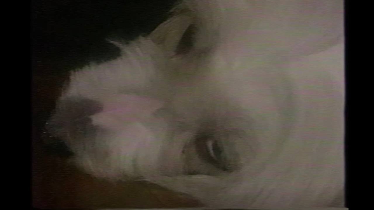 La Neige Movie Screenshot 1