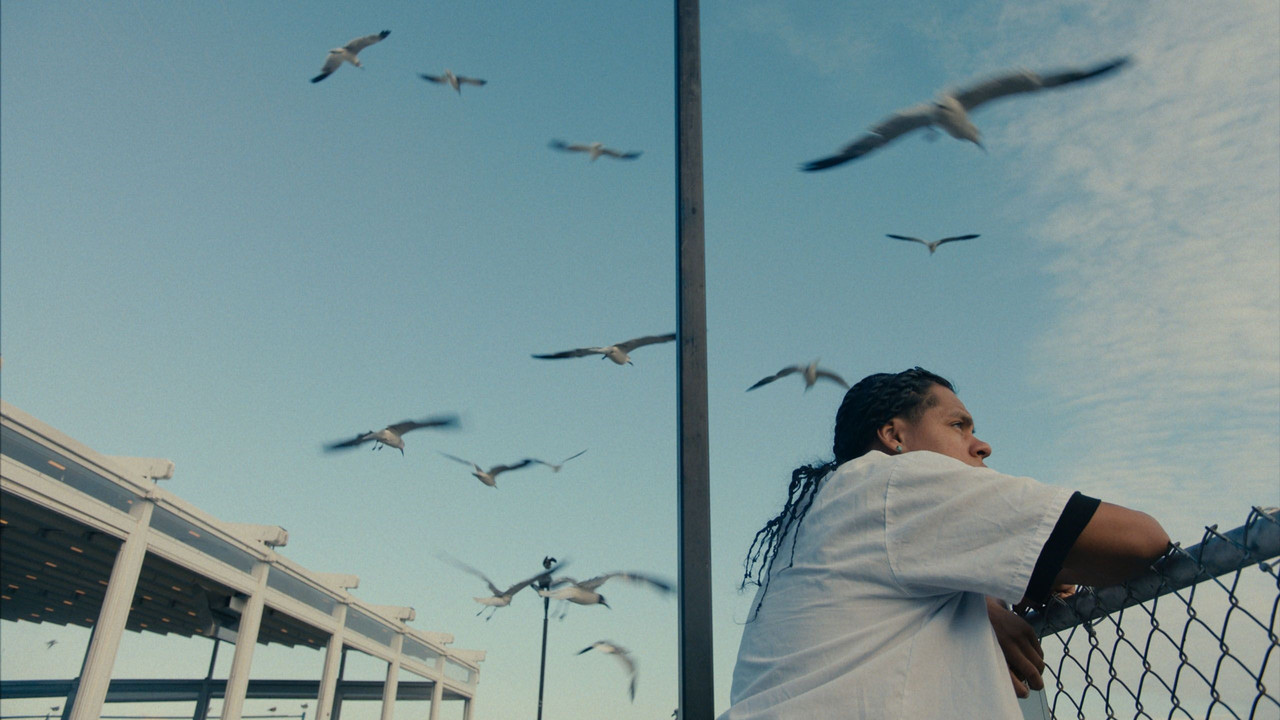 Mad Bills to Pay (or Destiny, dile que no soy malo) Movie Screenshot 1